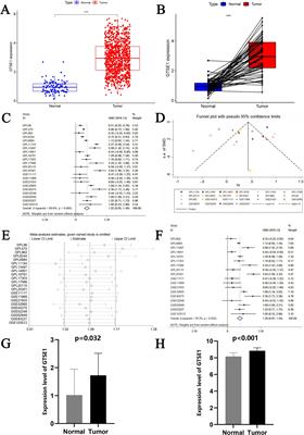 Comprehensive analysis of the diagnostic and therapeutic value, immune infiltration, and drug treatment mechanisms of GTSE1 in lung adenocarcinoma